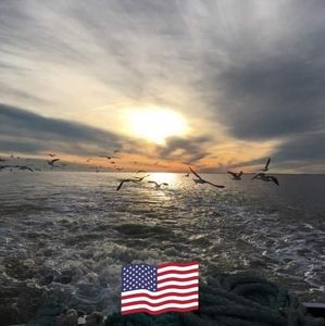 Meet your Posher, Cynthia